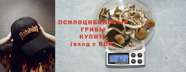 мяу мяу мука Арсеньев