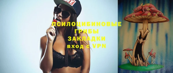 мяу мяу мука Арсеньев