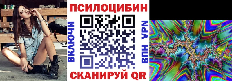 Псилоцибиновые грибы Psilocybine cubensis  darknet Telegram  Салехард 