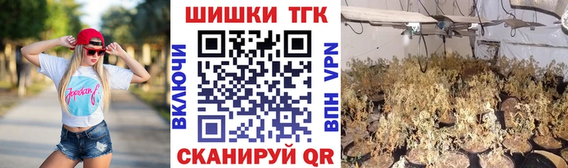 наркота  Салехард  Канабис индика 